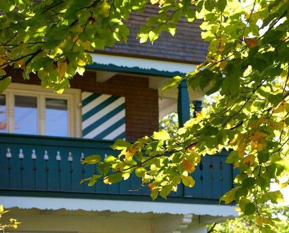 Grün gestrichener Holzbalkon zwischen Ahornlaub.
